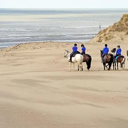 Boutique With Vue On Sea And Dunes Apartment *