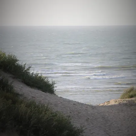 Boutique With Vue On Sea And Dunes