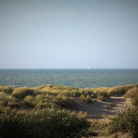Apartment Boutique With Vue On Sea And Dunes Koksijde