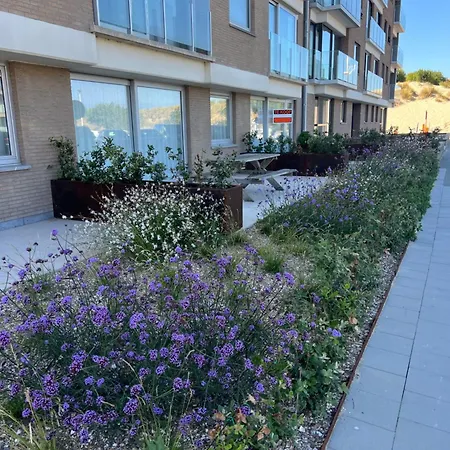 Boutique With Vue On Sea And Dunes Коксейде